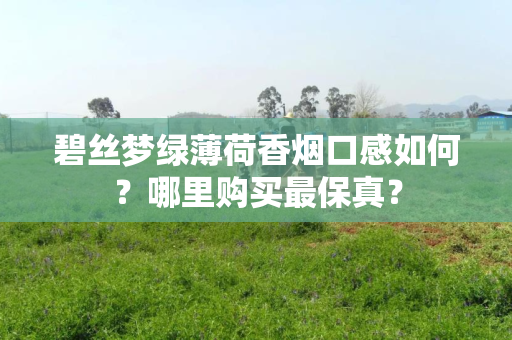 碧丝梦绿薄荷香烟口感如何？哪里购买最保真？